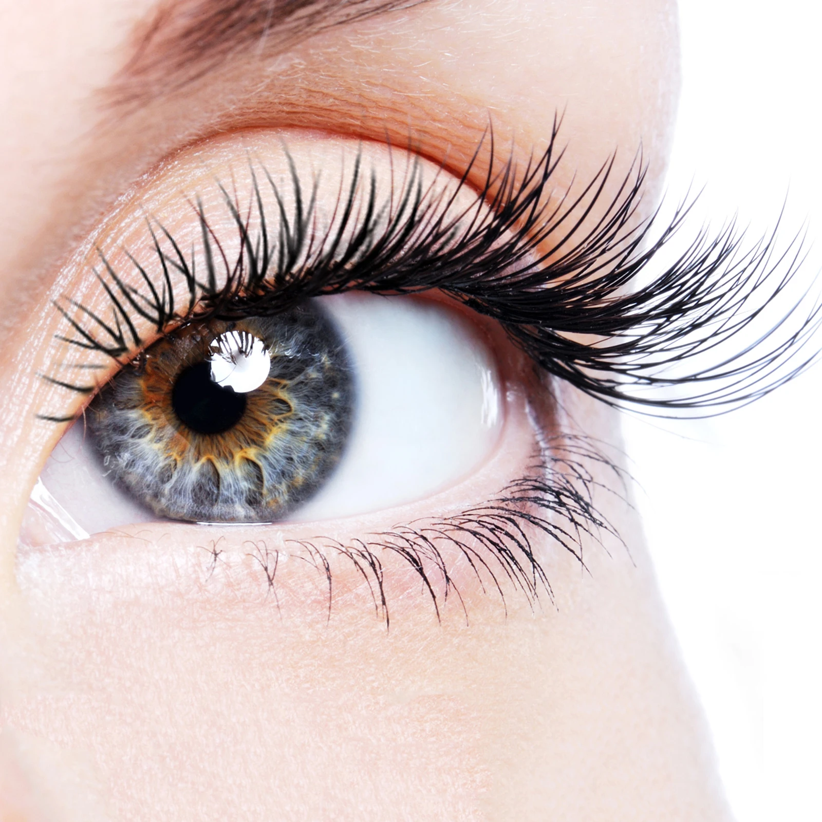 1 Box Women Eyelashes Artificial Long Dense False Lashes Makeup Accessory Party Performance Creative Natural Decoration Tool
1 Box Women Eyelashes Artificial Long Dense False Lashes Makeup Accessory Party Performance Creative Natural Decoration Tool