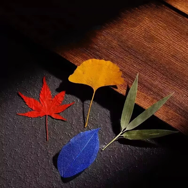12pcs Natural Real Dried Leaves Maple Leaf\Willow Leaf\Bamboo leaf for Christmas Making
12pcs Natural Real Dried Leaves Maple Leaf\Willow Leaf\Bamboo leaf for Christmas Making