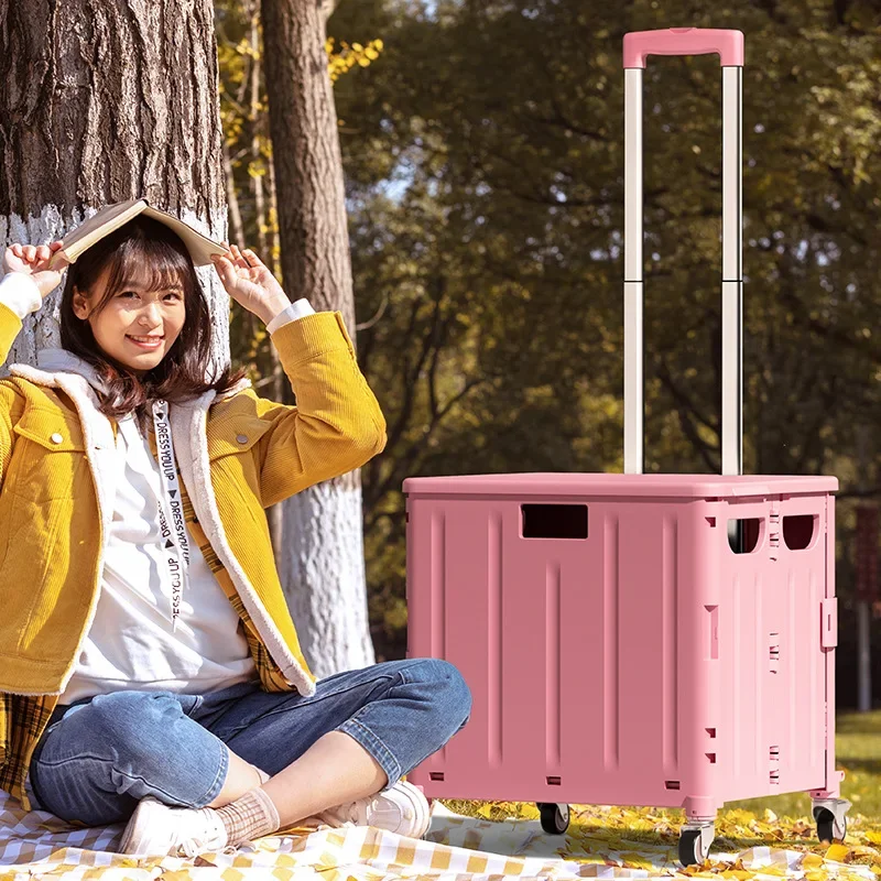 Barbecue, buying vegetables, small pull cars climb stairs, folding with rotary supermarket shopping carts
Barbecue, buying vegetables, small pull cars climb stairs, folding with rotary supermarket shopping carts