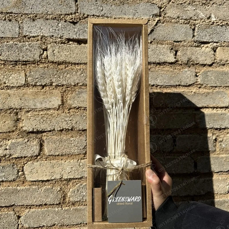 High quality dried wheat flower bouquet glass jar graduation valentine christmas gift dried flowers
High quality dried wheat flower bouquet glass jar graduation valentine christmas gift dried flowers