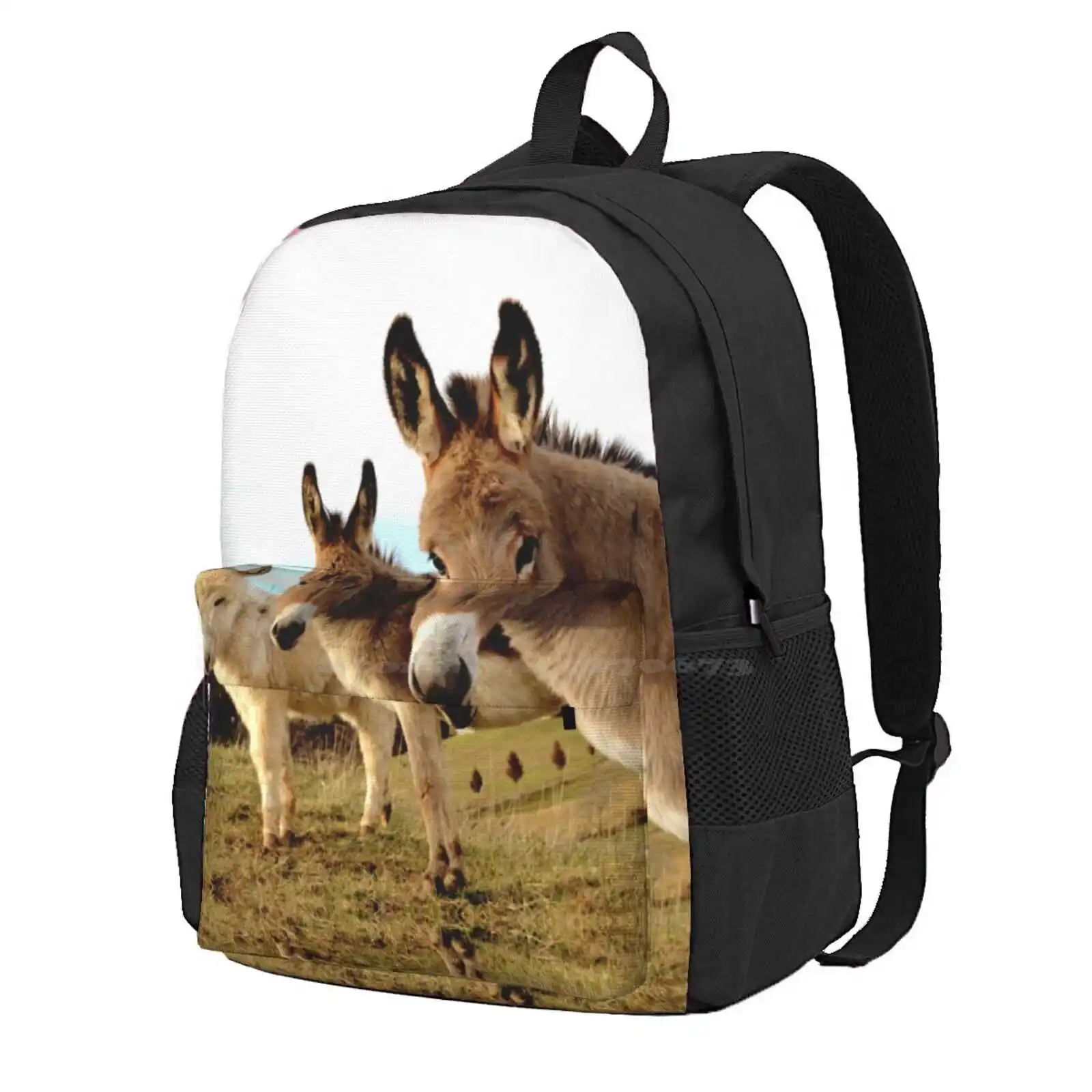 Donkey Trio Hot Sale Schoolbag Backpack Fashion Bags Donkey Farm Green Cute Three
Donkey Trio Hot Sale Schoolbag Backpack Fashion Bags Donkey Farm Green Cute Three