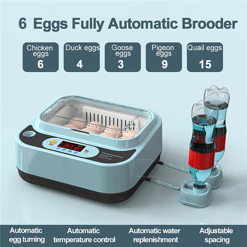 6 Chicken Duck Quail Egg Incubator Hatching Machine Auto Temperature-controlled Intelligent Poultry Incubation Tools for Home
6 Chicken Duck Quail Egg Incubator Hatching Machine Auto Temperature-controlled Intelligent Poultry Incubation Tools for Home