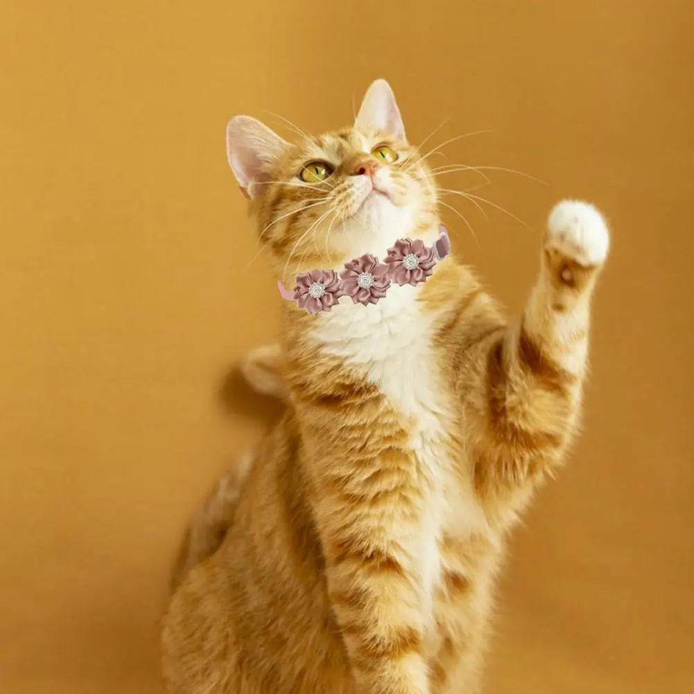 Pet Neck Circle Stylish Flower Rhinestone Pet Collar Set Adjustable Comfortable Dog Cat Neck Strap with Decorative for Pets
Pet Neck Circle Stylish Flower Rhinestone Pet Collar Set Adjustable Comfortable Dog Cat Neck Strap with Decorative for Pets