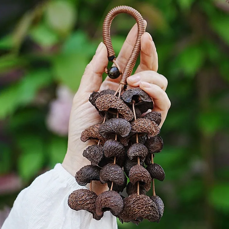 Moon Fruit Hand Bell Natural Hull Shell Handbell Meditation Sound Healing Chimes Outdoor Musical Bells Rare Musical Instrument
Moon Fruit Hand Bell Natural Hull Shell Handbell Meditation Sound Healing Chimes Outdoor Musical Bells Rare Musical Instrument