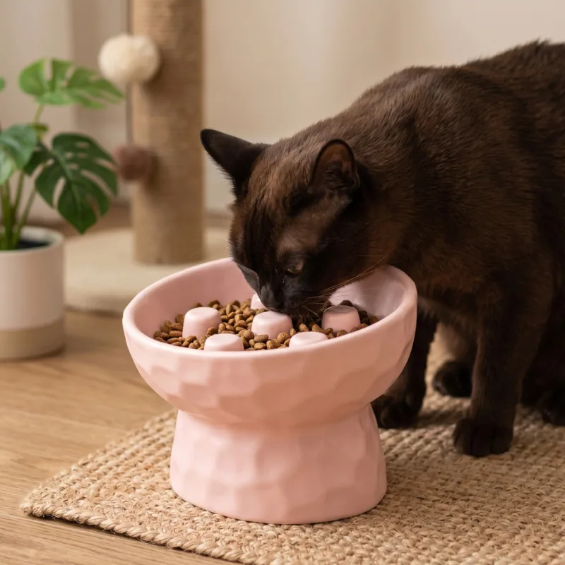 Ceramic Elevated Cat Bowl Slow Feed Anti Choke Anti Tip Angled Neck Care For Cats And Small Dogs Feeding Stand Christmas Gift
Ceramic Elevated Cat Bowl Slow Feed Anti Choke Anti Tip Angled Neck Care For Cats And Small Dogs Feeding Stand Christmas Gift