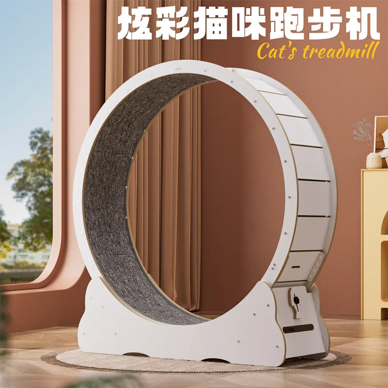 Cat treadmill high fiber dazzling cat running wheel noise reduction silent fitness wheel
Cat treadmill high fiber dazzling cat running wheel noise reduction silent fitness wheel