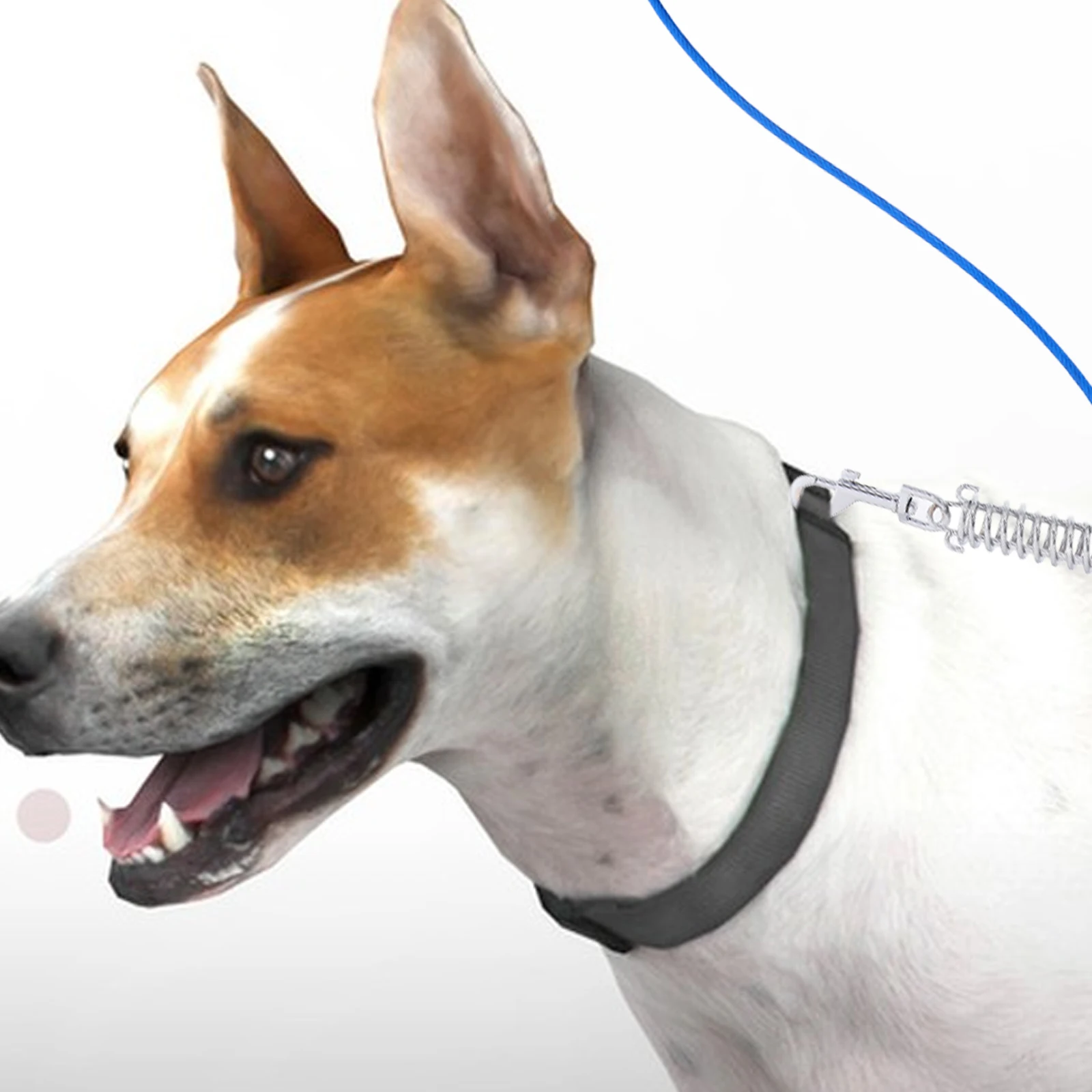 【】Dog Tie Out Rope Swivel Hook Shock Absorbing Heavy Duty Leash Pet Training Cable For Yard Park Camping Outdoor Spring
【】Dog Tie Out Rope Swivel Hook Shock Absorbing Heavy Duty Leash Pet Training Cable For Yard Park Camping Outdoor Spring