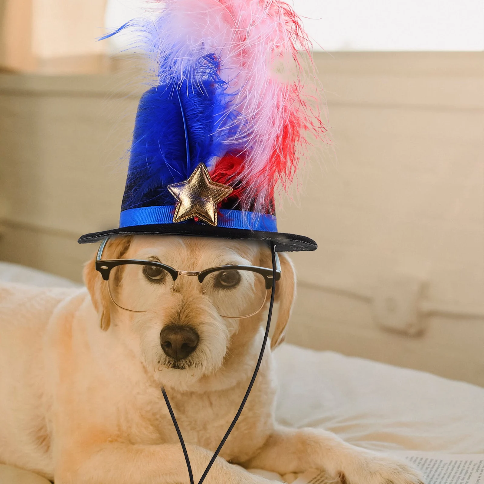 Premium Independence Day Headband For Dogs Lightweight Comfortable Party Accessory Hairband Dog Hat Pet Costume Cosplay Headband
Premium Independence Day Headband For Dogs Lightweight Comfortable Party Accessory Hairband Dog Hat Pet Costume Cosplay Headband