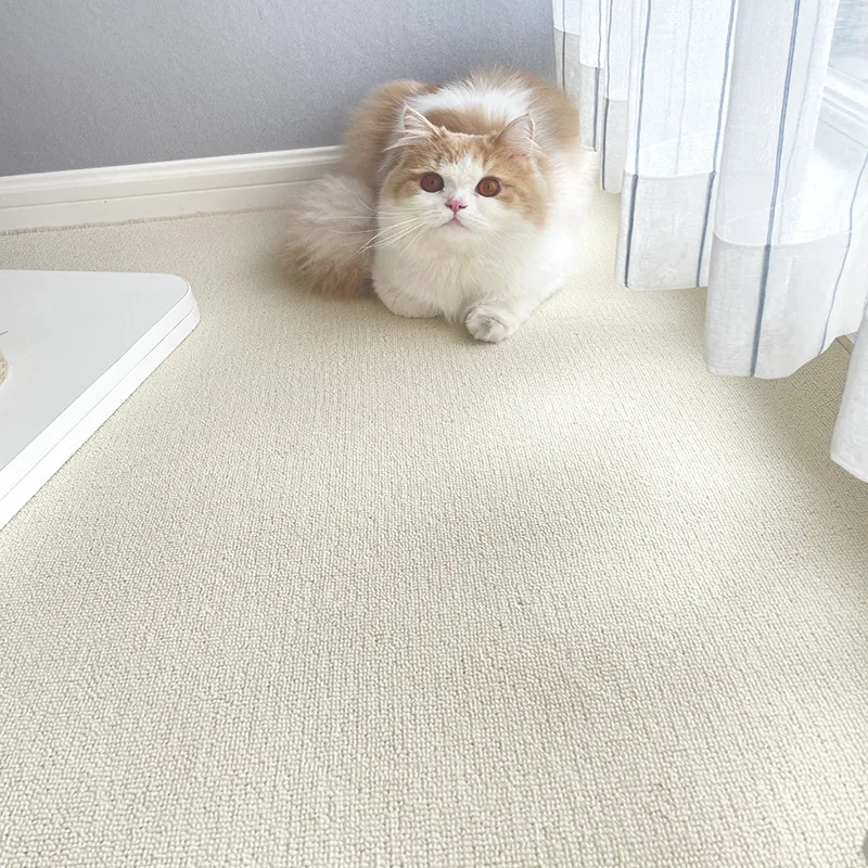 Nordic ins wind white photography carpet clothing live living room bedroom solid color large area full floor mat
Nordic ins wind white photography carpet clothing live living room bedroom solid color large area full floor mat