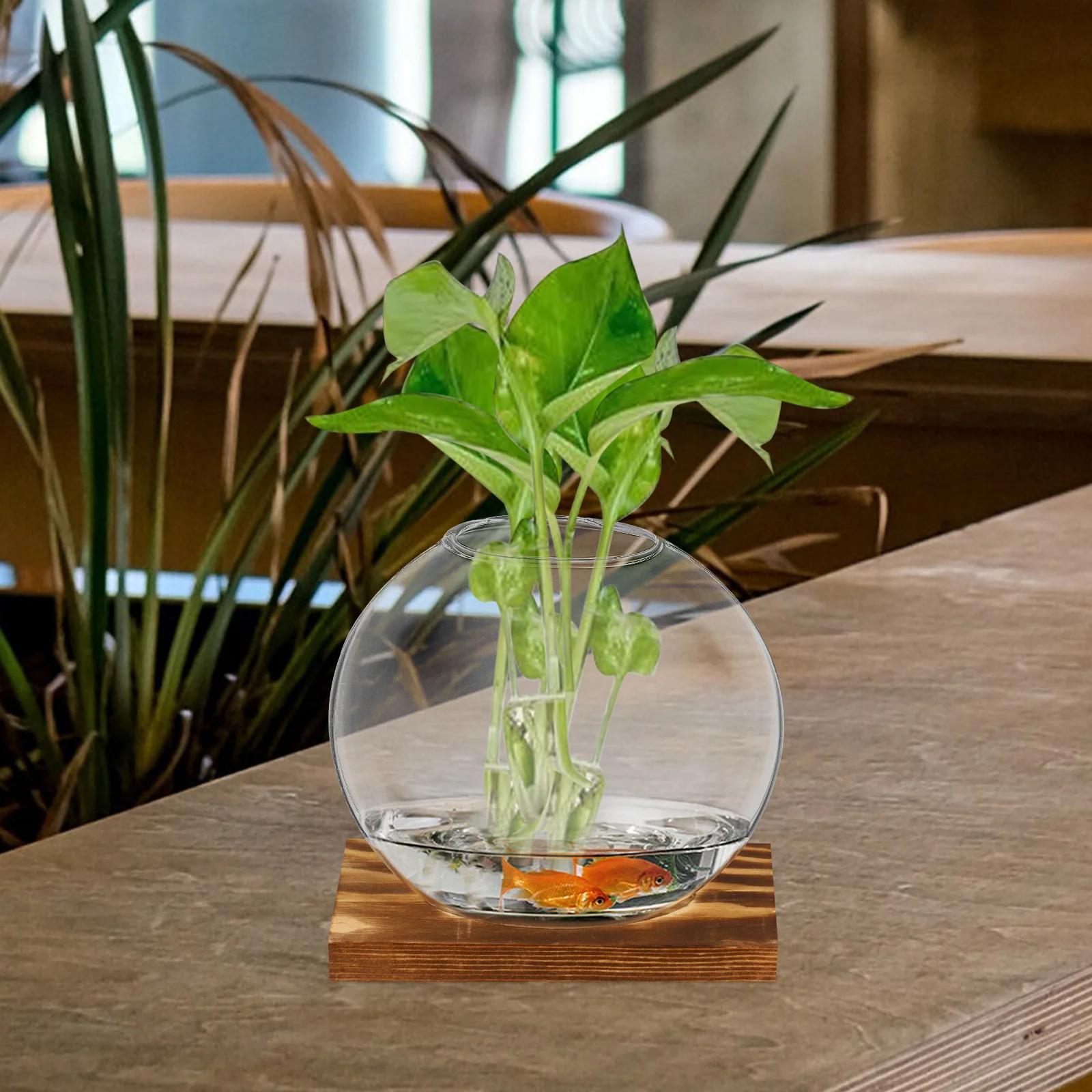 2Sets Clear Glass Vase for Plants Elegant Visual Experience Compact Size Lightweight Decor Plant Propagation Terrariums
2Sets Clear Glass Vase for Plants Elegant Visual Experience Compact Size Lightweight Decor Plant Propagation Terrariums