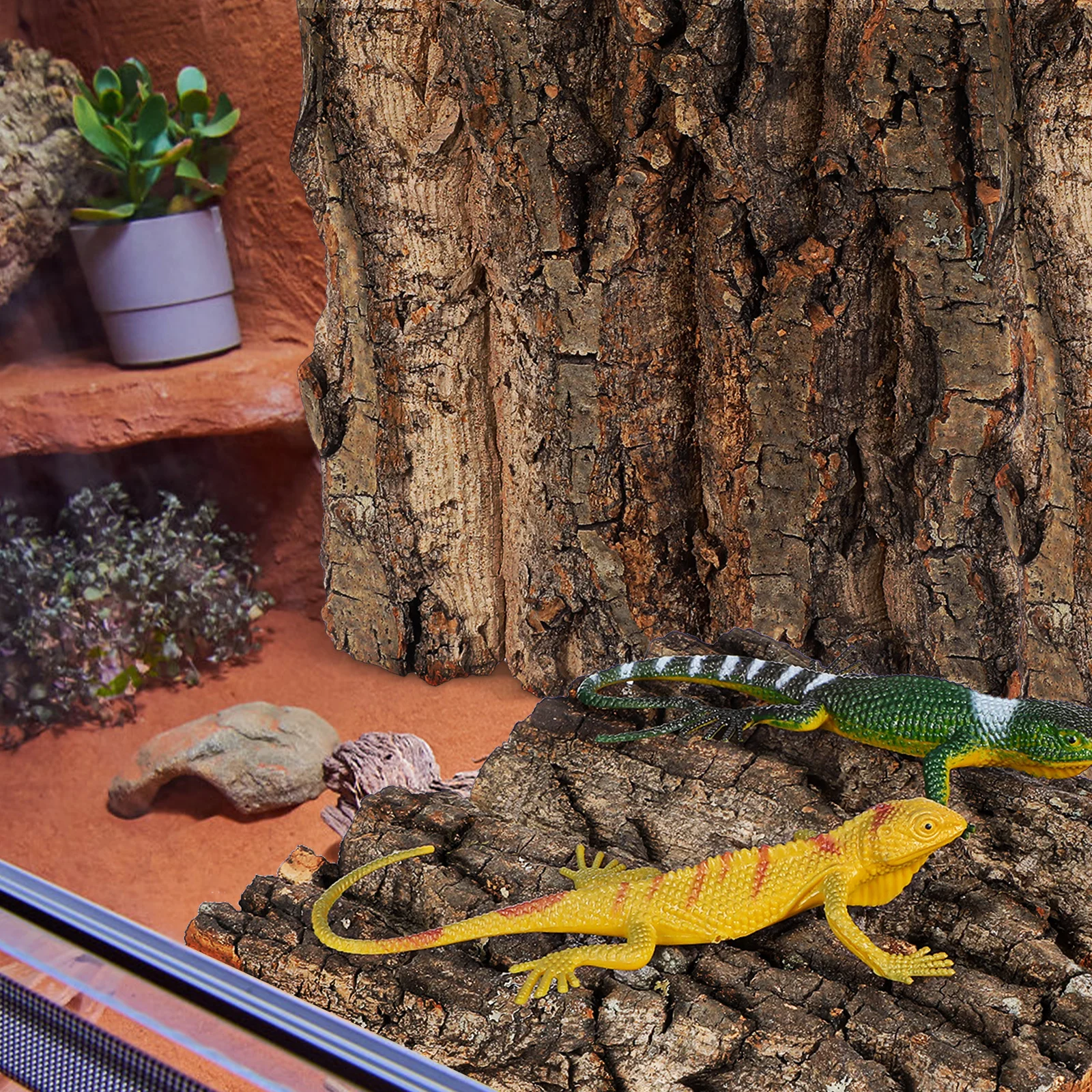 4 Pcs Cork Bark for Terrarium Flats Reptiles Background Aquarium Décor Backgrounds
4 Pcs Cork Bark for Terrarium Flats Reptiles Background Aquarium Décor Backgrounds