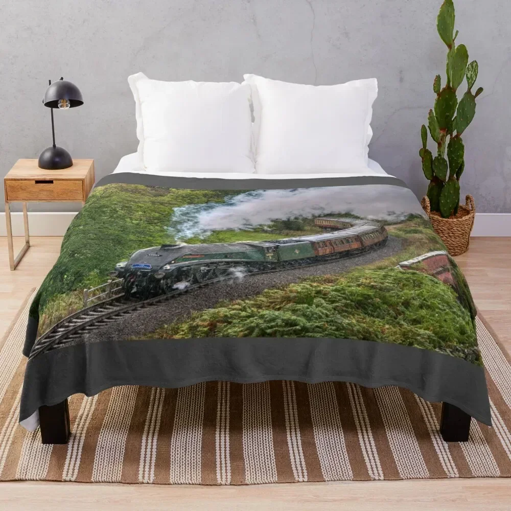 60009 Union of South Africa in the Rain Throw Blanket Bed linens Soft Beds Vintage Blankets
60009 Union of South Africa in the Rain Throw Blanket Bed linens Soft Beds Vintage Blankets