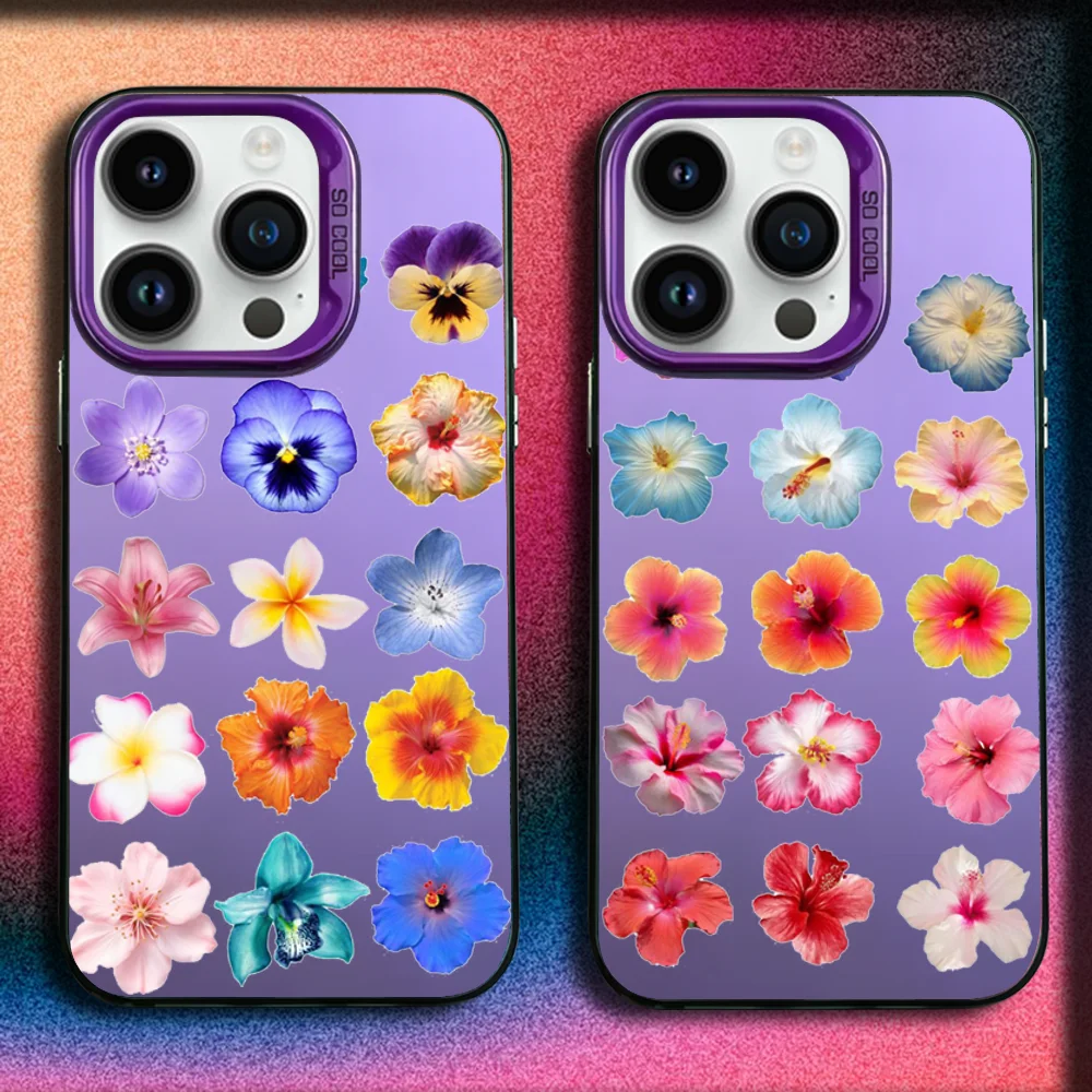 Flower Collage Puzzle Phone Case For iPhone 16,15,14,13,12,11,Mini,Pro,SE,MAX Purple Matte Silicone Cover
Flower Collage Puzzle Phone Case For iPhone 16,15,14,13,12,11,Mini,Pro,SE,MAX Purple Matte Silicone Cover