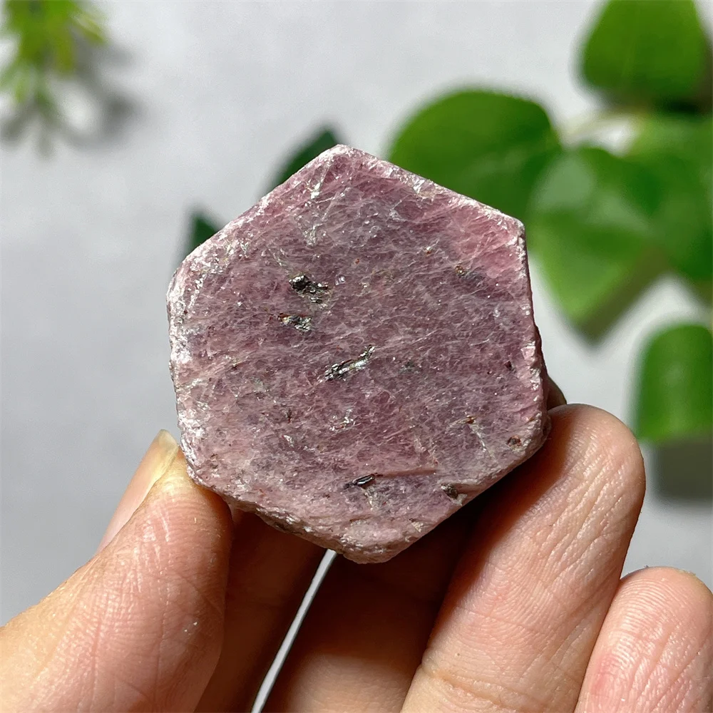 Red Ruby Black Tourmaline Natural Gem Quartz Crystal Reiki Cluster Healing Stones Mineral Specimen Home Decoration Raw Gems
Red Ruby Black Tourmaline Natural Gem Quartz Crystal Reiki Cluster Healing Stones Mineral Specimen Home Decoration Raw Gems