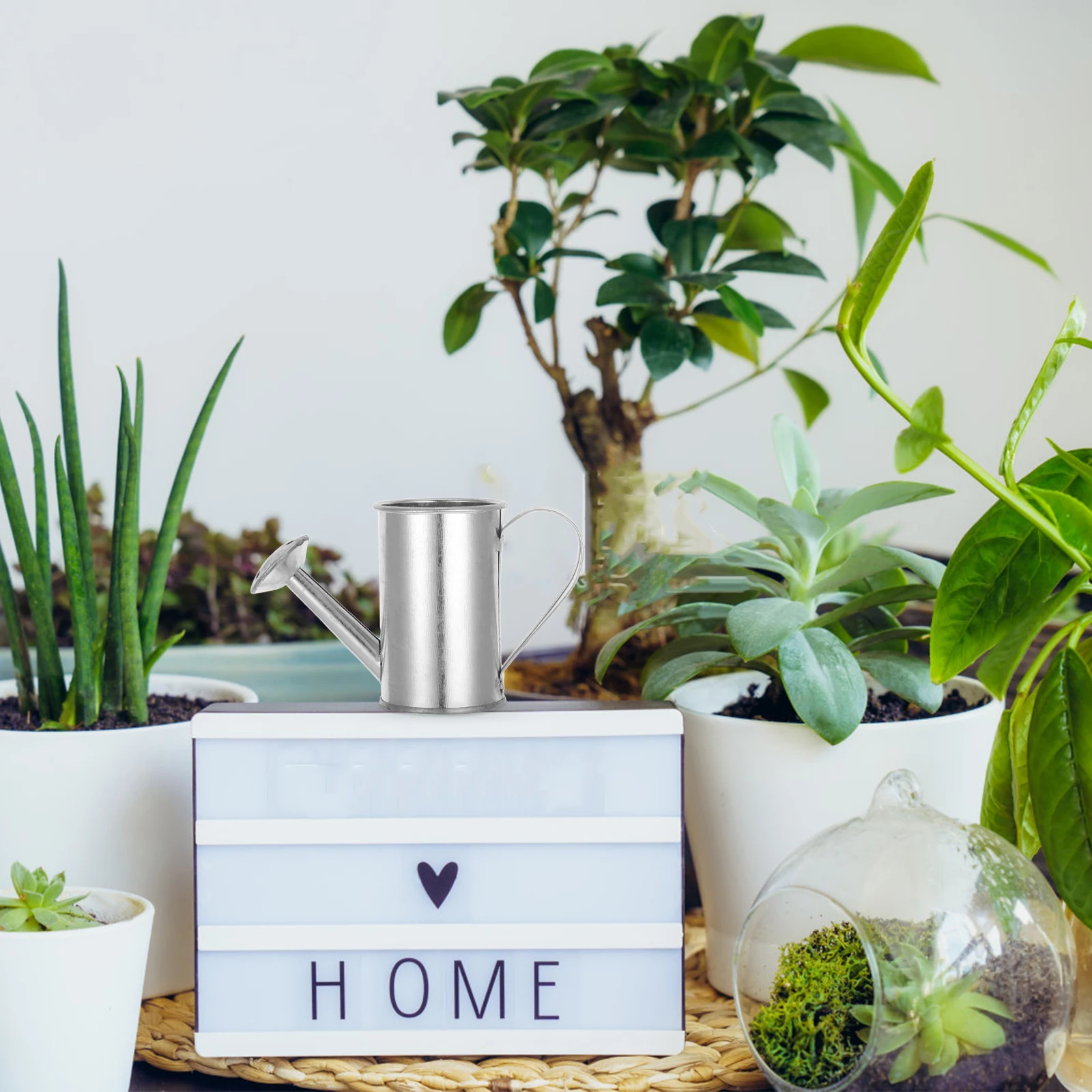 Galvanized Iron Watering Can Handheld Metal Bucket for Garden Plants Decorative Functional Indoor Outdoor Watering Equipment
Galvanized Iron Watering Can Handheld Metal Bucket for Garden Plants Decorative Functional Indoor Outdoor Watering Equipment