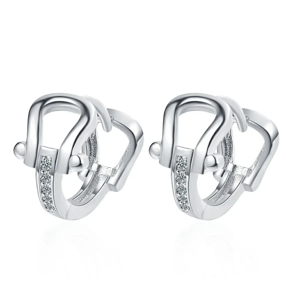 925 Sterling Silver Crystal Horseshoe U-shaped Hoop Earrings for Women Light Luxury Wedding Party Jewelry Gift
925 Sterling Silver Crystal Horseshoe U-shaped Hoop Earrings for Women Light Luxury Wedding Party Jewelry Gift