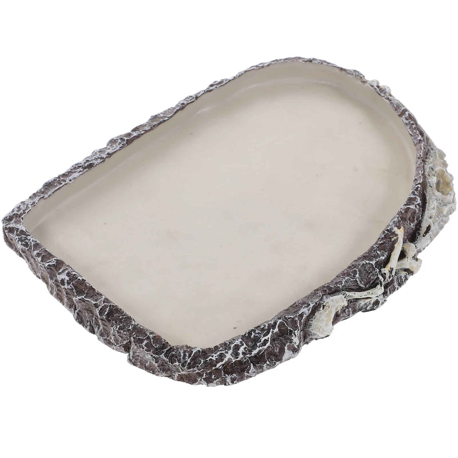 Beard Lizard Snake Water Basin Pet Food Feeder Animal Resin Hermit Crab Tortoise Feeding
Beard Lizard Snake Water Basin Pet Food Feeder Animal Resin Hermit Crab Tortoise Feeding