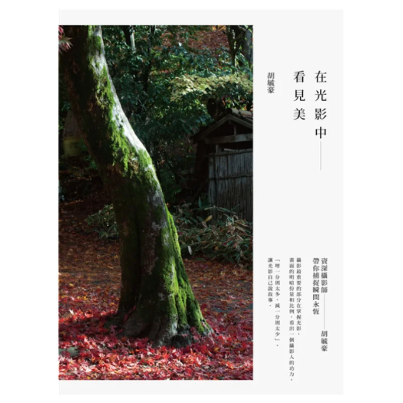 See Beauty In Light And Shadow Veteran Photographer Hu Yuhao Takes You To Capture The Eternal Moment Hu Yuhao 9789571362236
See Beauty In Light And Shadow Veteran Photographer Hu Yuhao Takes You To Capture The Eternal Moment Hu Yuhao 9789571362236