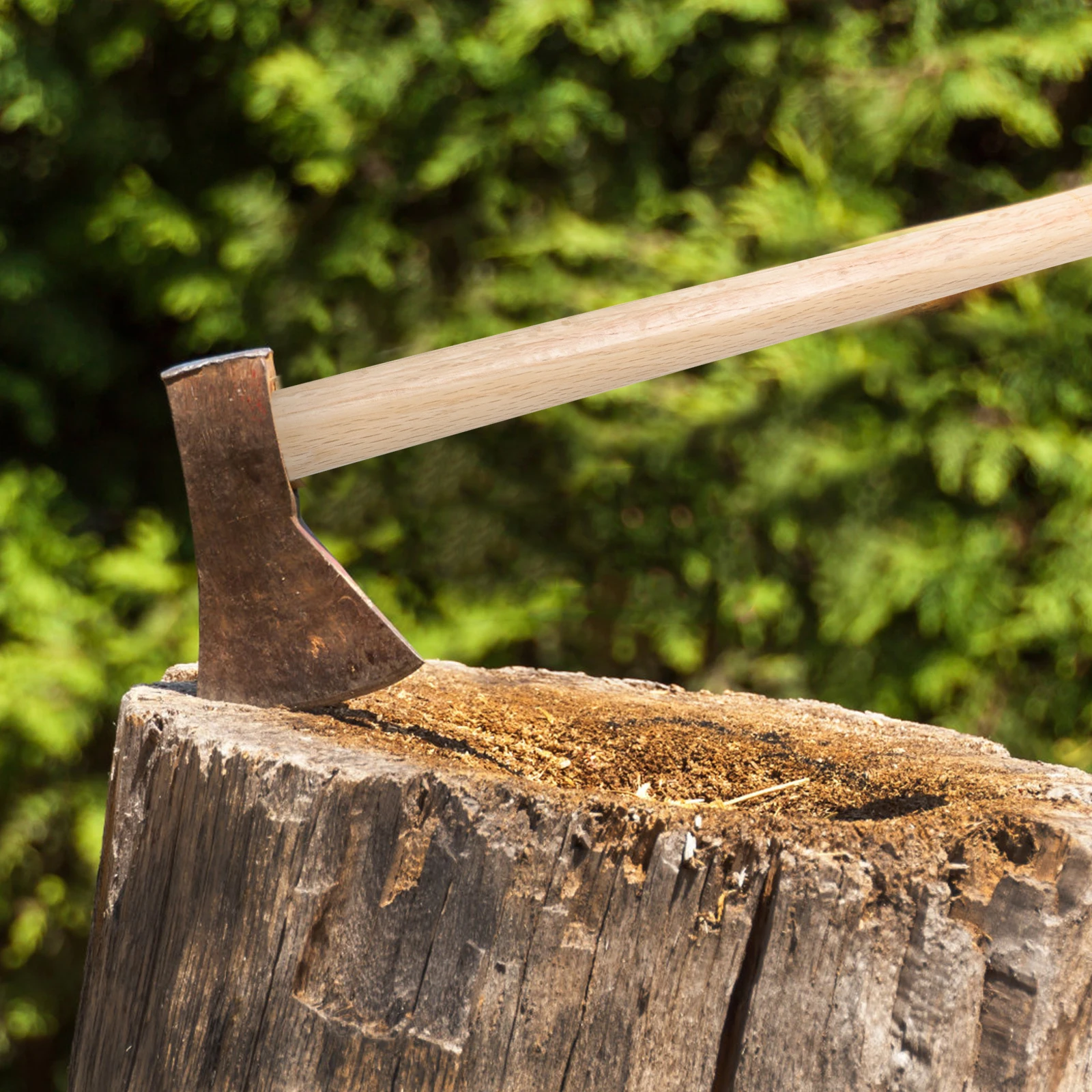 Wood Axe 50cm Durable Smooth For Firewood Gardening Hiking Hunting Outdoor Replacement Wooden H Wooden H
Wood Axe 50cm Durable Smooth For Firewood Gardening Hiking Hunting Outdoor Replacement Wooden H Wooden H