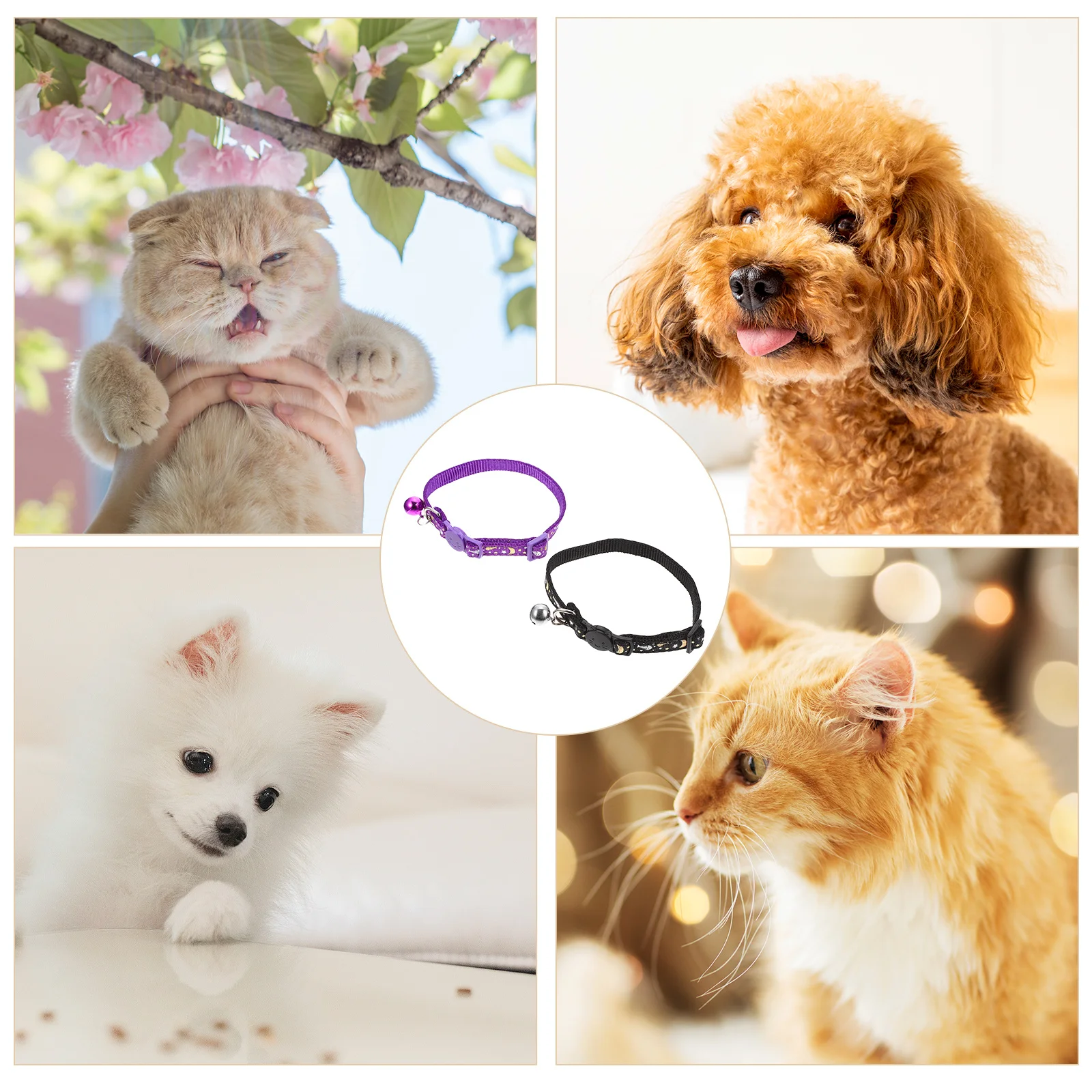 2Pcs Night Glow Cat Collar Adjustable Reflective Pet Collar for Outdoor Safety Wear-Resistant Breakaway Cat Collars Comfortable
2Pcs Night Glow Cat Collar Adjustable Reflective Pet Collar for Outdoor Safety Wear-Resistant Breakaway Cat Collars Comfortable