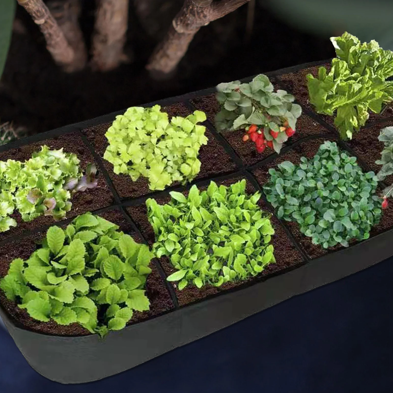 Multi-Compartment Planting Bag Breathable Felt Fabric Vegetable Garden Tree Nursery Indoor Planter Grow Container
Multi-Compartment Planting Bag Breathable Felt Fabric Vegetable Garden Tree Nursery Indoor Planter Grow Container