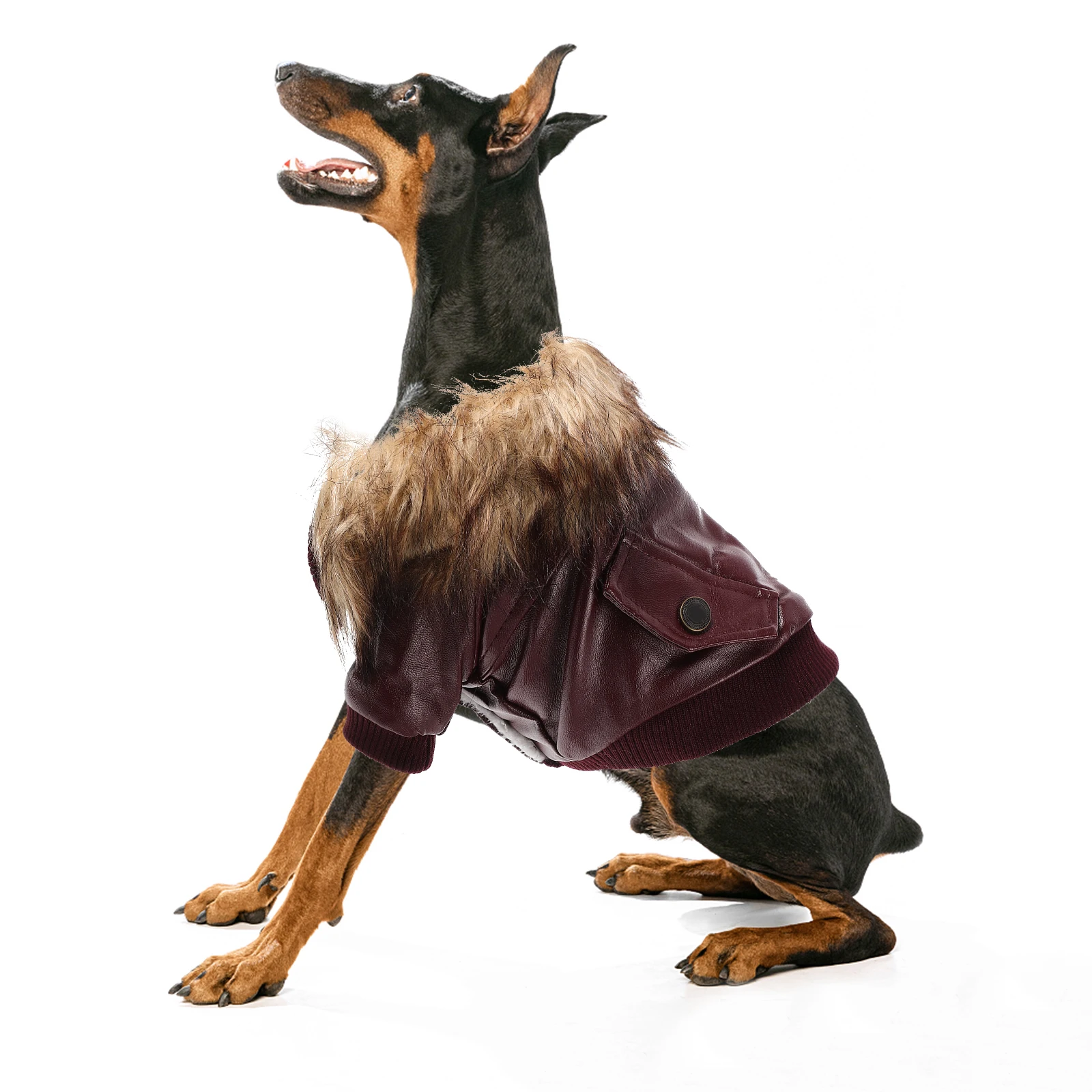 Warm Puppy Jacket Dog Winter Clothes Costume Waterproof Windproof Adorable Comfortable Breathable Pet Supplies
Warm Puppy Jacket Dog Winter Clothes Costume Waterproof Windproof Adorable Comfortable Breathable Pet Supplies