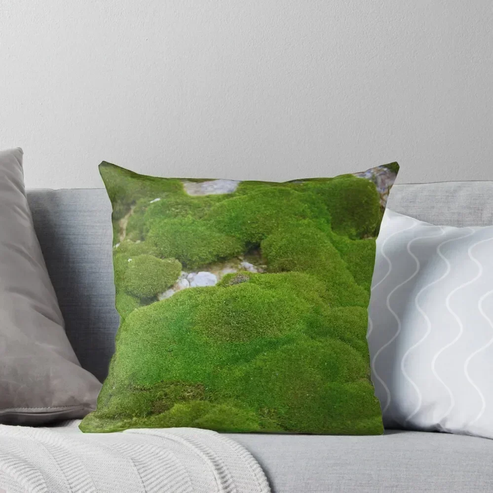 World of Moss II Throw Pillow Pillowcases Bed Cushions Ornamental Pillow Decorative Cover For Living Room pillow
World of Moss II Throw Pillow Pillowcases Bed Cushions Ornamental Pillow Decorative Cover For Living Room pillow