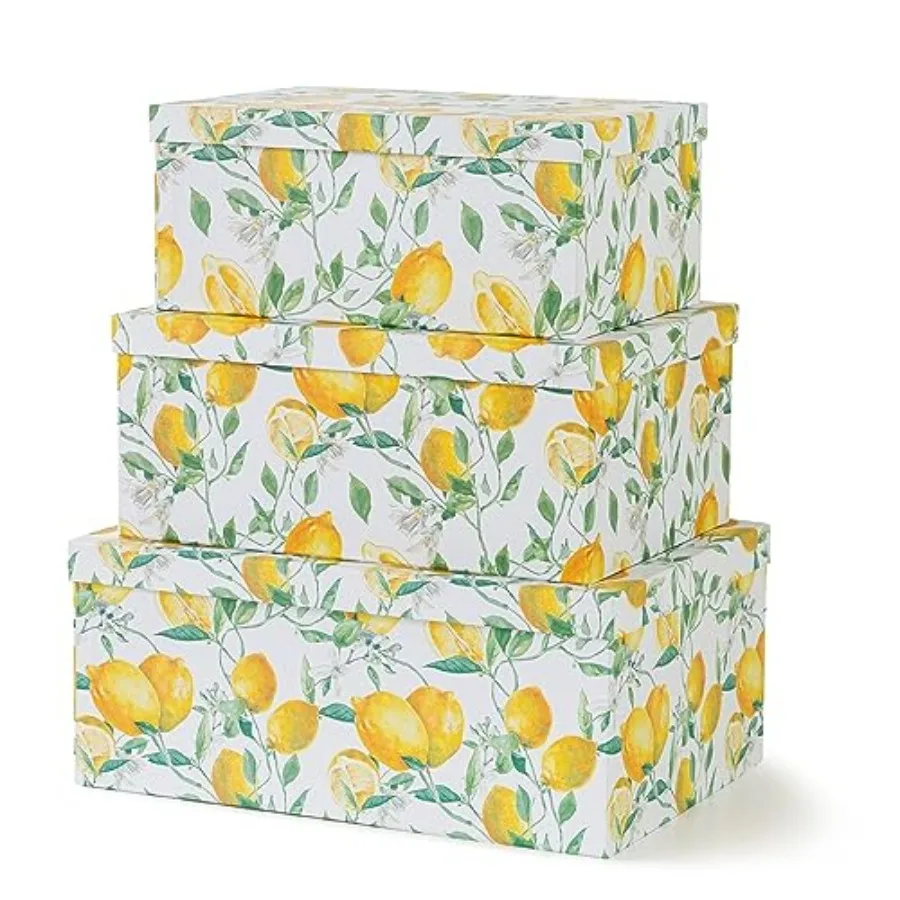 Decorative Cardboard Storage Boxes with Lids for Home Decor and Organization Set of 3 Large Keepsake Boxes for Memories and Gif
Decorative Cardboard Storage Boxes with Lids for Home Decor and Organization Set of 3 Large Keepsake Boxes for Memories and Gif
