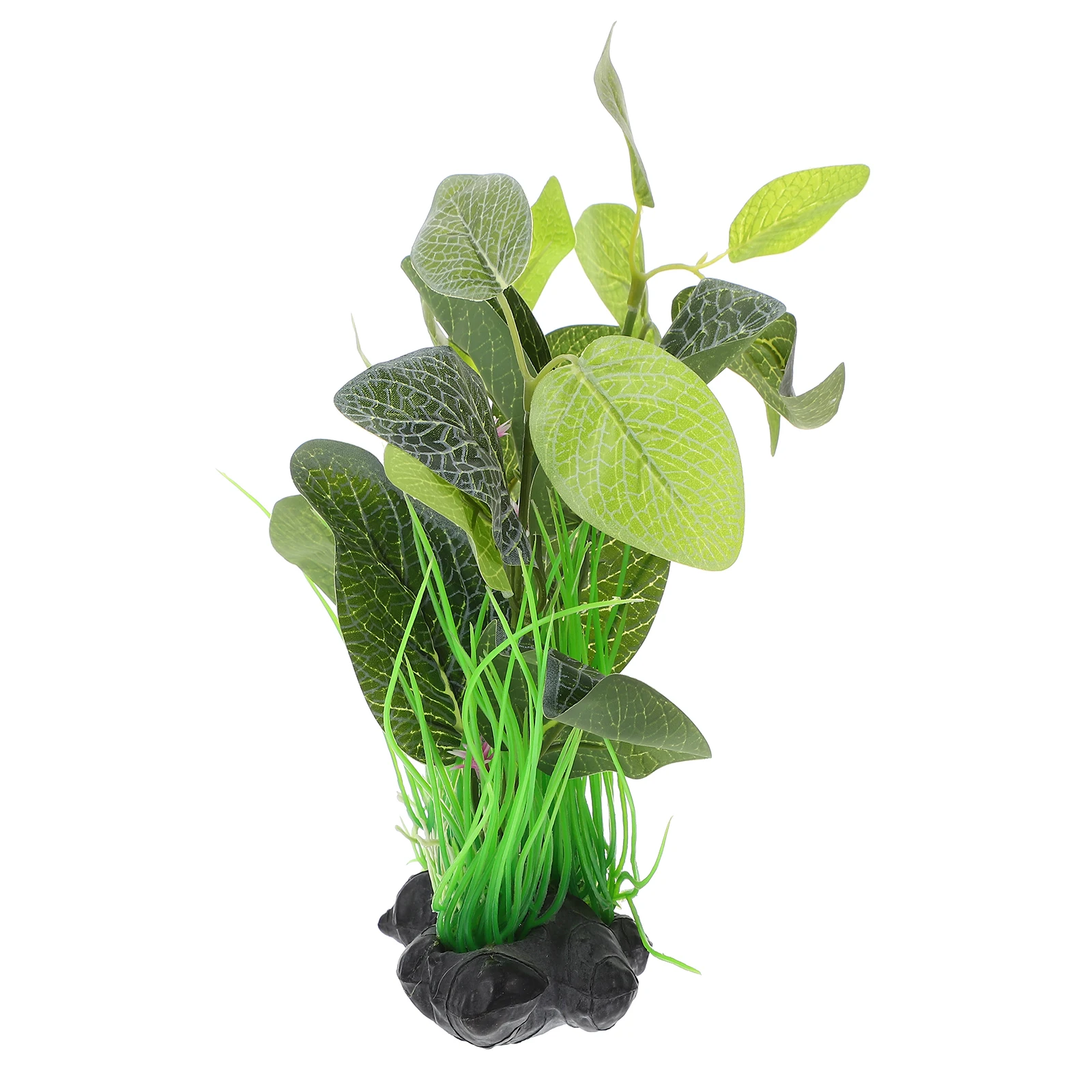 Plastic Aquarium DecorWater Plants for Fish Tank Decoration Durable L scape Accessory Wear resistant Plant Grass
Plastic Aquarium DecorWater Plants for Fish Tank Decoration Durable L scape Accessory Wear resistant Plant Grass