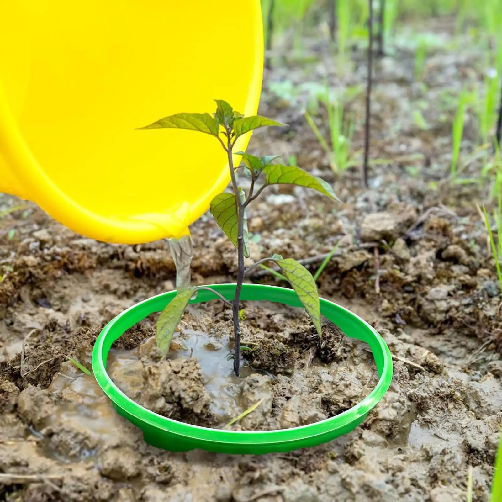 Planting Rings 6 Pieces Border Edge Protective Round Edging For Outdoor Lawn Yard Greenhouse Vegetable Shrub Flower Bed
Planting Rings 6 Pieces Border Edge Protective Round Edging For Outdoor Lawn Yard Greenhouse Vegetable Shrub Flower Bed