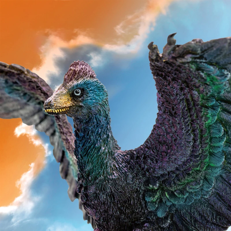 Prehistoric Dinosaur Models 29 Gaoyuan The Microraptor Dinosaur Enthusiasts Holiday Gift For Friends Collect Ornaments
Prehistoric Dinosaur Models 29 Gaoyuan The Microraptor Dinosaur Enthusiasts Holiday Gift For Friends Collect Ornaments