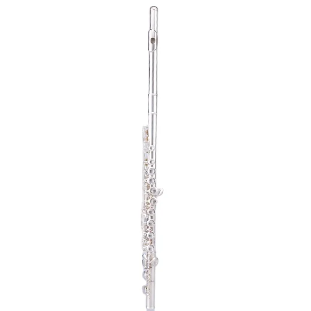 Professional Musical Instrument 16 Close Keys Open Hole Flute with C Tone Body Material Cupronickel
Professional Musical Instrument 16 Close Keys Open Hole Flute with C Tone Body Material Cupronickel