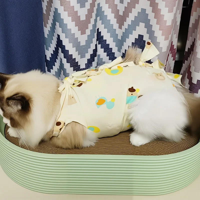 Breathable Pet Cat Recovery Suit Post Surgery Wear Medicine Feeding Weaning Use Anti-Licking Anti-Harassment Cat Recovery Suit
Breathable Pet Cat Recovery Suit Post Surgery Wear Medicine Feeding Weaning Use Anti-Licking Anti-Harassment Cat Recovery Suit