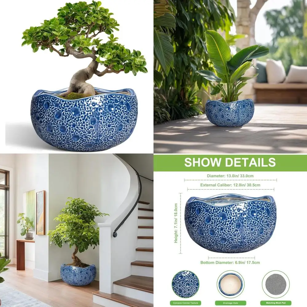 Large 13 Inch Ceramic Plant Pots with Drainage for Indoor and Outdoor Use, Round Decorative Flower Pots, Modern Garden Decor, Bl
Large 13 Inch Ceramic Plant Pots with Drainage for Indoor and Outdoor Use, Round Decorative Flower Pots, Modern Garden Decor, Bl