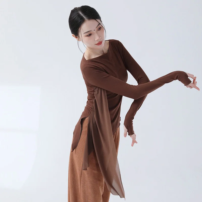 Classical Dance Practice Clothes Finger Sleeve Side Split Tulle Design Chinese Style Casual Wear Chic Stage Performance Costume
Classical Dance Practice Clothes Finger Sleeve Side Split Tulle Design Chinese Style Casual Wear Chic Stage Performance Costume
