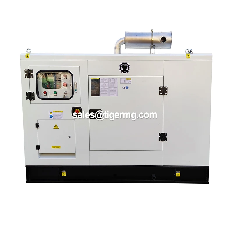24kw 30kva 50kw 100 250kva 600kw Compressed Generators Plant Small Portable Natural Gas Cogeneration Generator
24kw 30kva 50kw 100 250kva 600kw Compressed Generators Plant Small Portable Natural Gas Cogeneration Generator