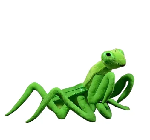 Simulation Mantis High Fidelity Anime Cute Plushie Chinese Mantid Plush Toys Stuffed Doll For Children Birthday Gift
Simulation Mantis High Fidelity Anime Cute Plushie Chinese Mantid Plush Toys Stuffed Doll For Children Birthday Gift