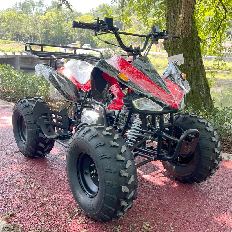 Hot Sale 125cc ATV 4 Wheel Quad Bike ATV Automatic Mountain
Hot Sale 125cc ATV 4 Wheel Quad Bike ATV Automatic Mountain