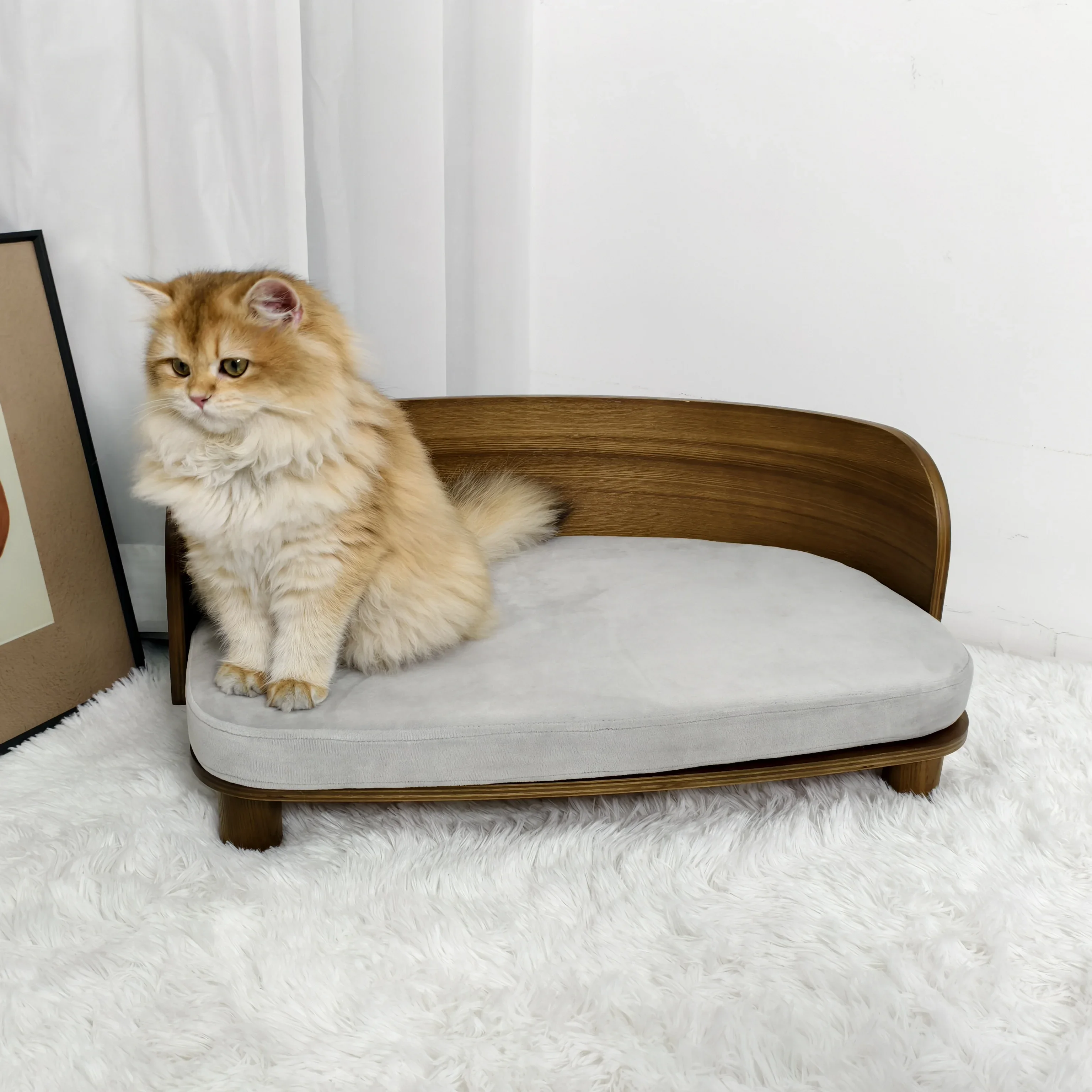 Customizable BingoPaw S/M lit pour chat surélevé canapé-lit d'intérieur en bois pour chat, canapé pour animaux compagnie
Customizable BingoPaw S/M lit pour chat surélevé canapé-lit d'intérieur en bois pour chat, canapé pour animaux compagnie