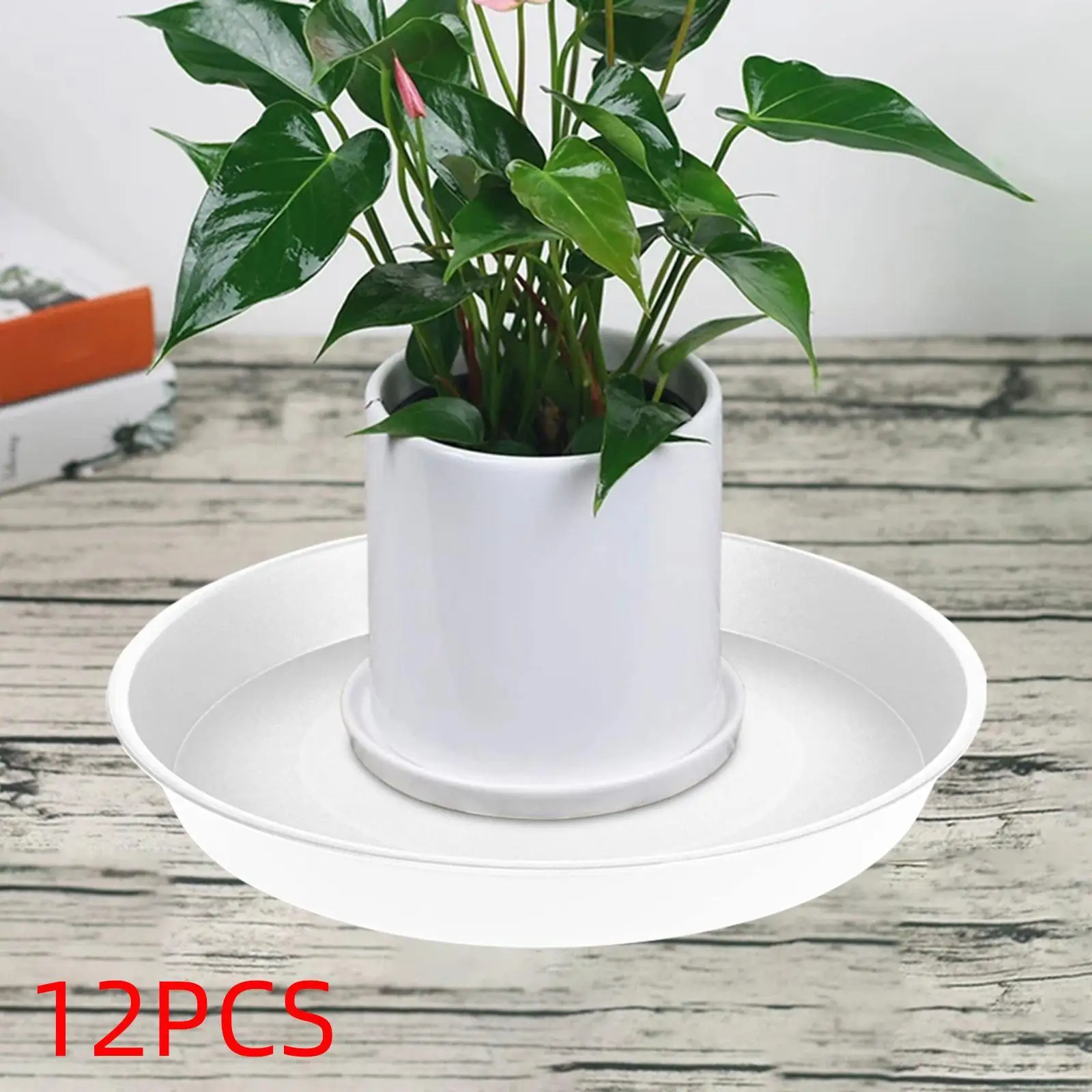 Heavy Duty Plant Tray Movable Round Saucer Base for Indoor Plants Outdoor Pots Window Sill Garden Decor
Heavy Duty Plant Tray Movable Round Saucer Base for Indoor Plants Outdoor Pots Window Sill Garden Decor