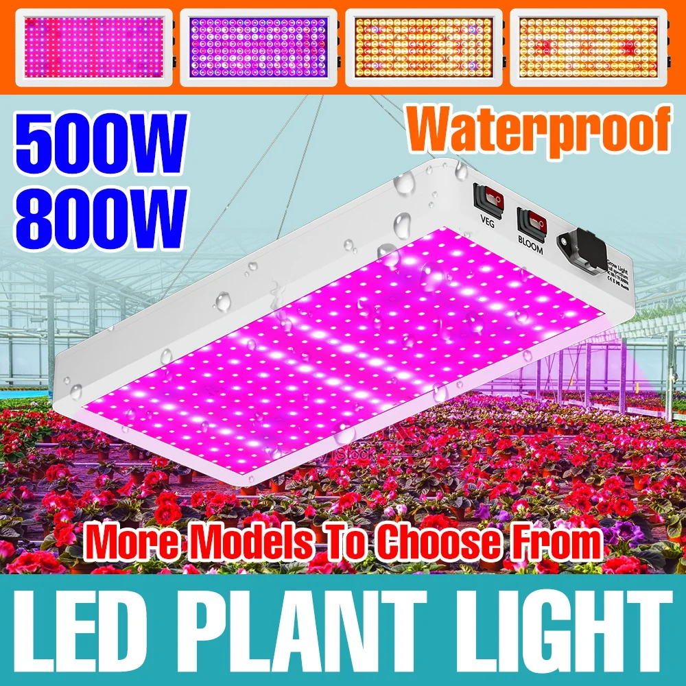 800W Full Spectrum LED Grow Lights 220V Seedings Cultivation Lamp Greenhouse Tent Hydroponics Vegs Succulent Planting Lighting
800W Full Spectrum LED Grow Lights 220V Seedings Cultivation Lamp Greenhouse Tent Hydroponics Vegs Succulent Planting Lighting