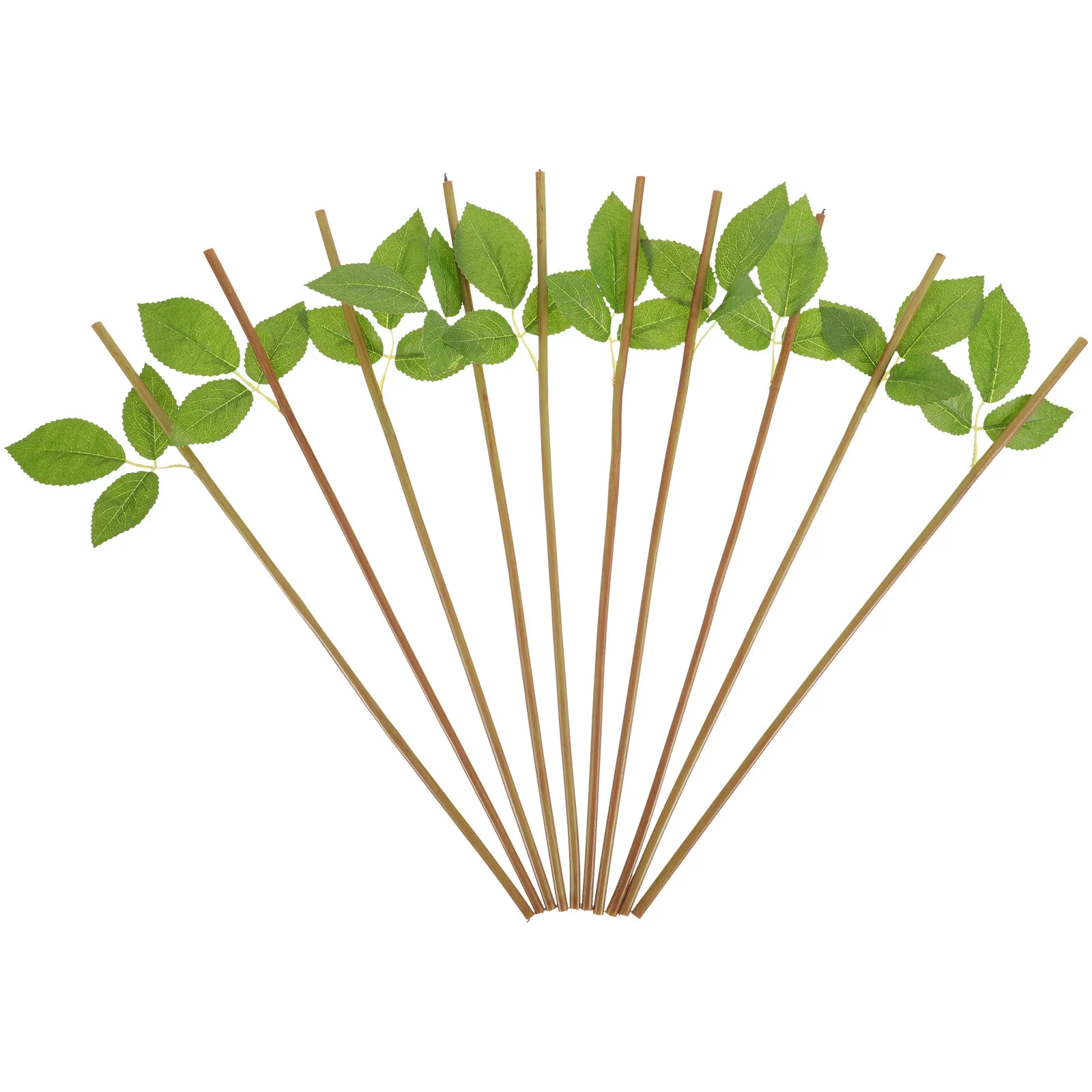 50Pcs Artificial Floral Stems Plastic Flexible Fake Flower Stems for Wedding Bouquet Home Garden Office DIY Flower Craft 
50Pcs Artificial Floral Stems Plastic Flexible Fake Flower Stems for Wedding Bouquet Home Garden Office DIY Flower Craft