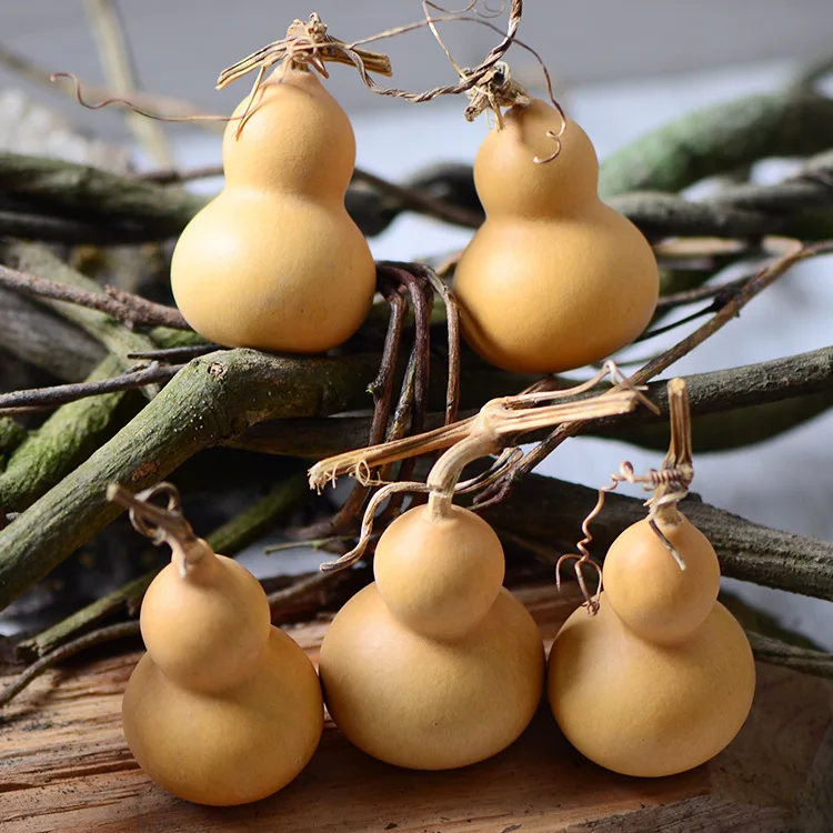 10pcs/lot,Nature Dried bottle gourd,Real Dried eternelle plant DIY Wedding Party christmas Garden Home Decoration accessories
10pcs/lot,Nature Dried bottle gourd,Real Dried eternelle plant DIY Wedding Party christmas Garden Home Decoration accessories