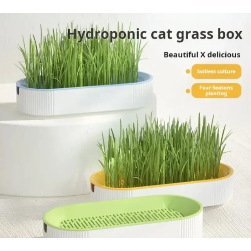 Hydroponic Cat Grass Box Cat Treats Catnip Hydroponic Soilless Planting Cat Grass Pot Set for Easy Growth
Hydroponic Cat Grass Box Cat Treats Catnip Hydroponic Soilless Planting Cat Grass Pot Set for Easy Growth