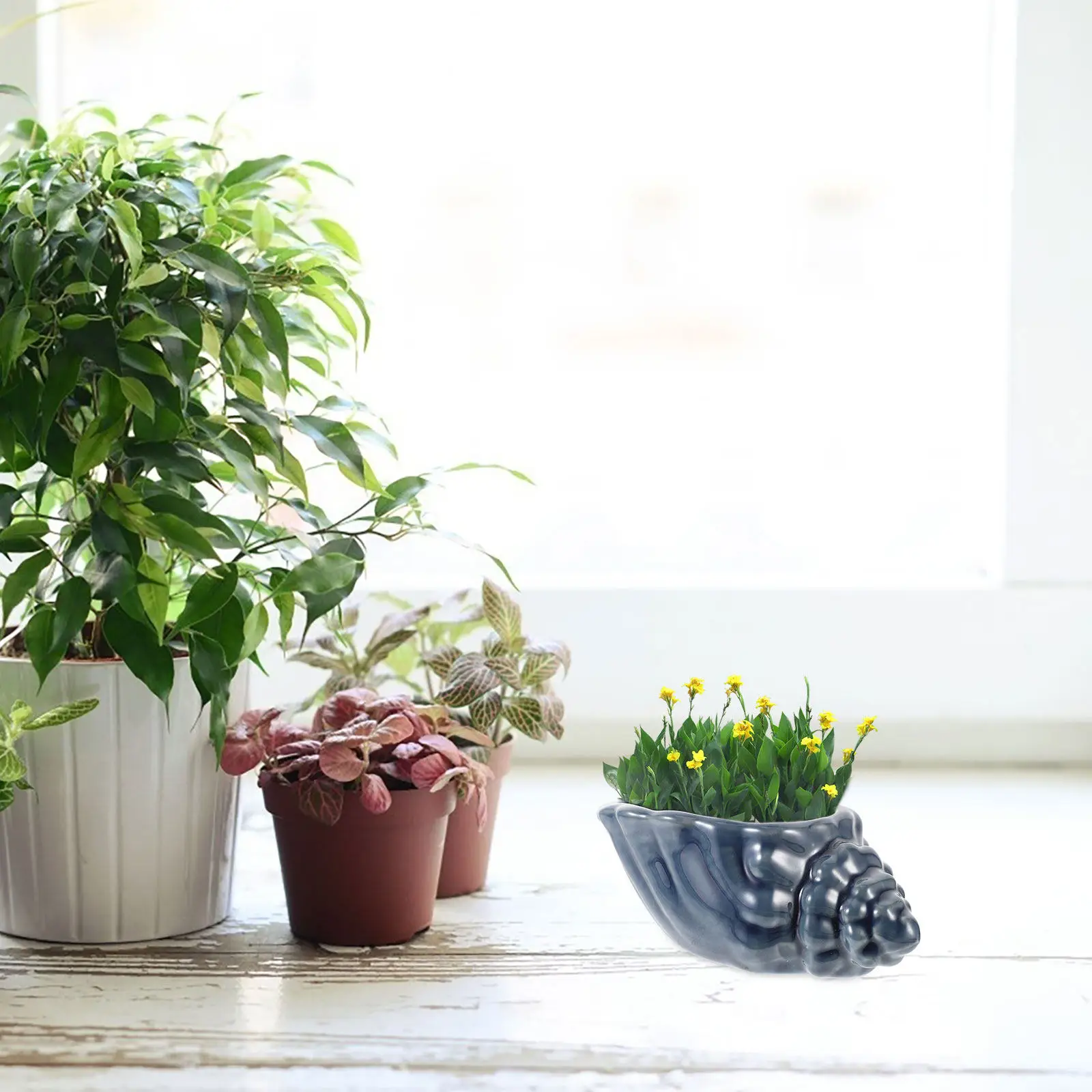 1Pcs Ceramic Craft Flowerpot Conch Shaped Unique Plant Pot Decorative Flowerpot Scene Ornament Indoor Outdoor Use Flat Bottom
1Pcs Ceramic Craft Flowerpot Conch Shaped Unique Plant Pot Decorative Flowerpot Scene Ornament Indoor Outdoor Use Flat Bottom
