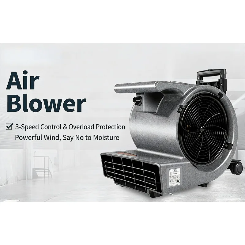 【Brand new】Industrial High Power Floor Dryer Blower Commercial Carpet Drying Fan For Hotel Restaurant Efficient Dehumidifier
【Brand new】Industrial High Power Floor Dryer Blower Commercial Carpet Drying Fan For Hotel Restaurant Efficient Dehumidifier