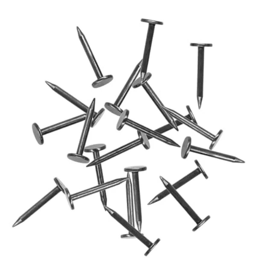 Picture Hanging Nails 180 Pieces,Steel Tacks Pins for Hanging Pictures and Woodworking
Picture Hanging Nails 180 Pieces,Steel Tacks Pins for Hanging Pictures and Woodworking