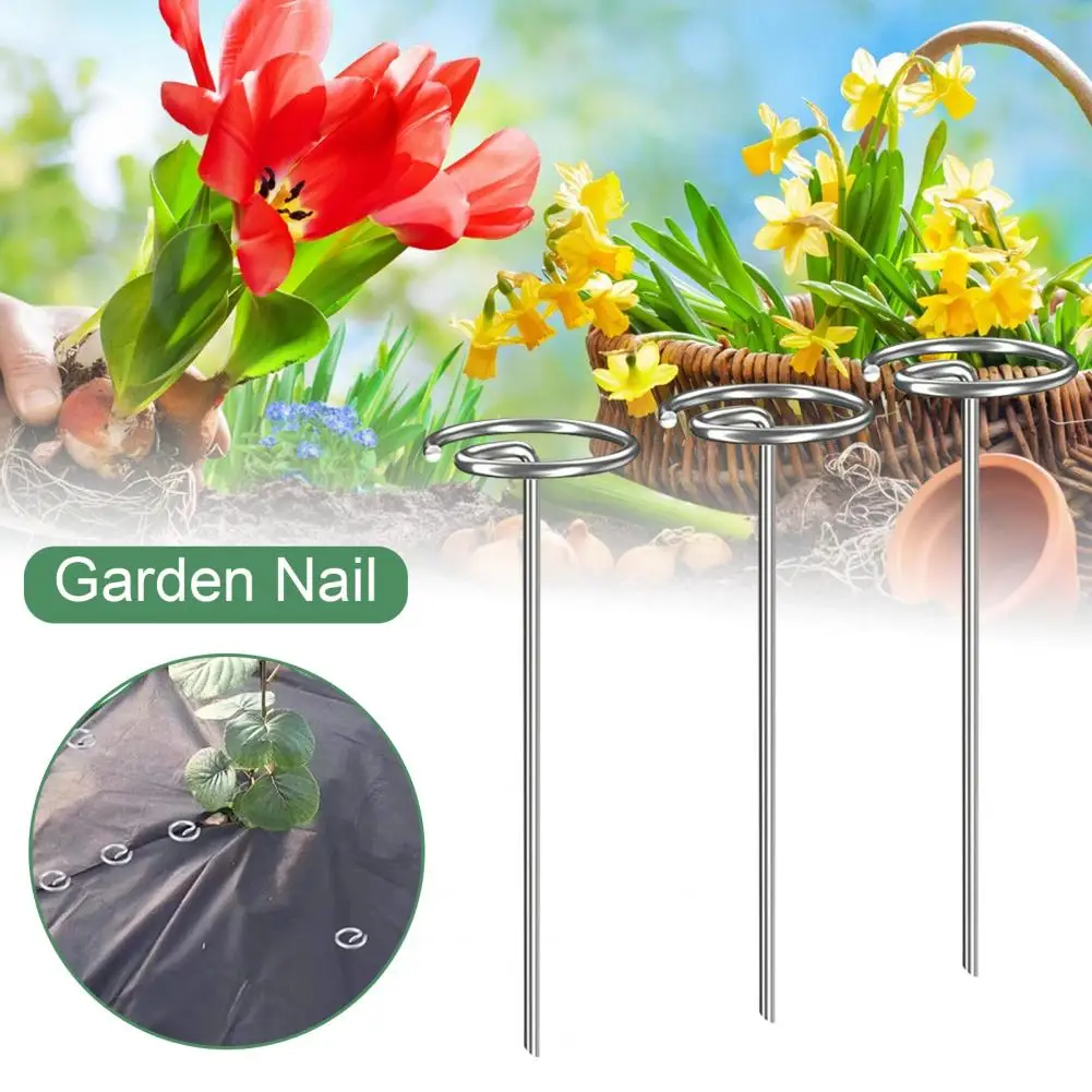 Garden Stake 20Pcs Useful High Hardness Wear Resistant G-shaped Circle Top Landscape Staple Pin Farm Supply
Garden Stake 20Pcs Useful High Hardness Wear Resistant G-shaped Circle Top Landscape Staple Pin Farm Supply