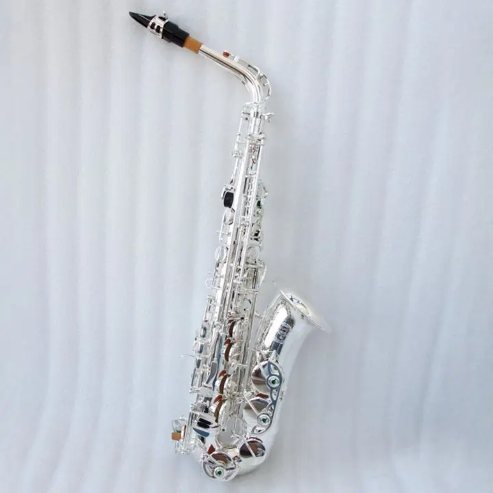 Hooqu High Grade Silver Plated Brass Body Alto Saxophone In Stock Saxophone Alto Professionnel With Case
Hooqu High Grade Silver Plated Brass Body Alto Saxophone In Stock Saxophone Alto Professionnel With Case