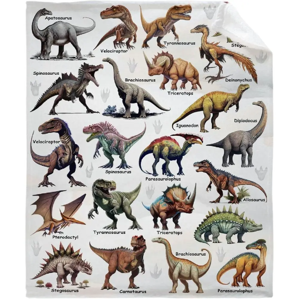 Super Soft Lightweight Fleece Blankets for All Ages - Perfect for Couch, Sofa, Bed, Camping, Travel, All Seasons, 90x120
Super Soft Lightweight Fleece Blankets for All Ages - Perfect for Couch, Sofa, Bed, Camping, Travel, All Seasons, 90x120